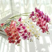 1 Haste De Orquídea Artificial Silicone Para Decorações 69cm 1 Haste De Orquídea Artificial Silicone Para Decorações 69cm