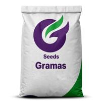1 Kg De Sementes De Grama Esmeralda Plus 1 Kg De Sementes De Grama Esmeralda Plus