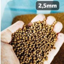 1 Kg Ração de Peixe Alevinos 42% P40 c/ 2.5mm Pescaria Ceva Pescador 1 Kg Ração de Peixe Alevinos 42% P40 c/ 2.5mm Pescaria Ceva Pescador