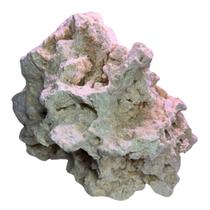 1 Kg Rocha Marinha Calcaria Aquario Ciclideos Peixe Natural 1 Kg Rocha Marinha Calcaria Aquario Ciclideos Peixe Natural