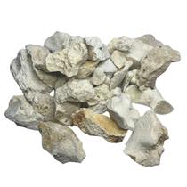 1 Kg Sansibar Fragmentada Aquario Marinho Cascalho Biologia