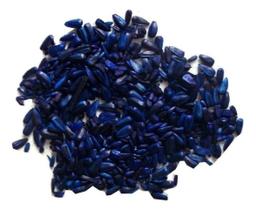 1 Kg Semente Girassol Venen Azul Isca Rato