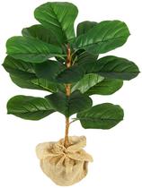 1 Planta Ficus Lyrata 15 folhas 50cm Folhagem realista
