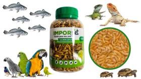 1 Pote com Gammarus Desidratado para Aves Peixes Répteis 20g Importado