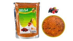1 Ração Mistura para Pássaros / Passarinho Canários Pintassilgo Vitamina Vermelha Frutas Vermelhas 500g - BELGA