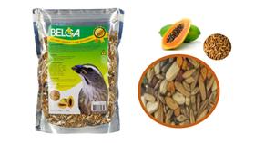 1 Ração / Passarinho Pixarro Trinca-ferro Mamão Com Tenébrio 500g 1 Ração / Passarinho Pixarro Trinca-ferro Mamão Com Tenébrio 500g