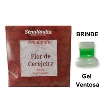 1 Sachê Perfumado Aromatizante de Flor Cerejeira Top Casa Gaveta Roupa Armário Estante - Envio Já