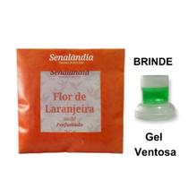 1 Sachê Perfumado Aromatizante de Flor Laranjeira Top Casa Gaveta Roupa Armário Estante - Envio Já