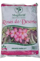 1 Substrato 3 Litros Para Rosa Do Deserto Terra Vegetal /2kg - Mogifertil