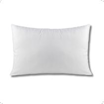1 Travesseiro Toque Pluma de Ganso 50x70 Firme Macio Antialergico Nao Deforma 1 Travesseiro Toque Pluma de Ganso 50x70 Firme Macio Antialergico Nao Deforma