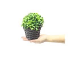 1 Un Mini Arranjo Folhagem Buchinho Verde 13cm Artificiais Vaso Junco - Lk flores
