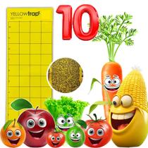 10 Armadilha Amarela Adesiva 30x10 Yellow Trap Quadriculada ColeAgro Armadilhas de Controle de Pragas