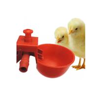 10 Bebedouro Automático Para Aves Frangos Codornas