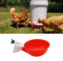 10 Bebedouro Automático Para Aves Frangos Codornas Ref-10AB