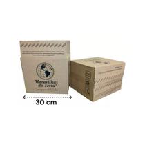 10 Caixa De Papelão Reforçada 30x25x20 Menor Preço Correios