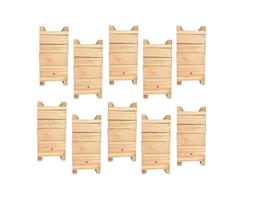 10 Caixas Inpa Abelhas Sem Ferrão Eucalipto 12x12