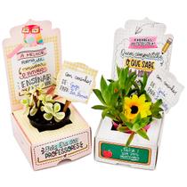 10 caixas porta Suculenta ou 4 doces. Lembrancinha Especial do Dia dos Professores