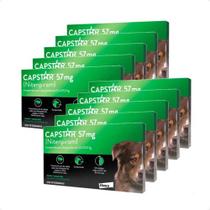 10 Capstar Antipulgas Mata Berne Cães Até 57kg Envio Imediat