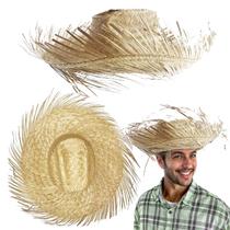 10 Chapéu De Palha Desfiado Festa Junina São João Caipira