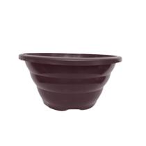 10 Cuias Tamanho 21 10 Cuias Tamanho 21