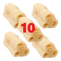 10 Esponja Bucha Vegetal Natural Limpeza Profunda Esfoliaçao