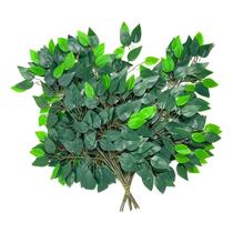 10 Folhas Folhagem 60cm Fícus Para arranjos e decoração festa 10 Folhas Folhagem 60cm Fícus Para arranjos e decoração festa
