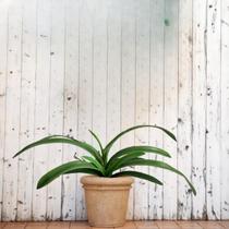 10 Galhos Flexíveis de Folhas de Orquídeas Artificiais em Silicone Realista para Decoração Sofisticada DE3224