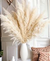 10 Hastes Capim Dos Pampas Seca Natural Grass Alta - La Caza Store 10 Hastes Capim Dos Pampas Seca Natural Grass Alta - La Caza Store