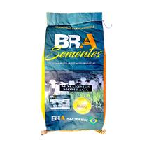 10 Kg Semente Pastagem Animais Corte ou Leite Capim Mombaça Incrustada