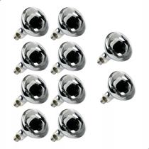 10 Lâmpadas De Secagem Infravermelha Estufa 250w 220v E-27 10 Lâmpadas De Secagem Infravermelha Estufa 250w 220v E-27