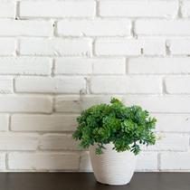 10 maços (60 hastes) mini suculentas planta artificial 21 cm Ótimo p/ projetos de artesanato arranjos - DE2723 10 maços (60 hastes) mini suculentas planta artificial 21 cm Ótimo p/ projetos de artesanato arranjos - DE2723