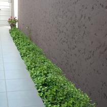 10 maços de mini plantas artificiais ótima para projetos de decoração em festas com 6 hastes cada - DE0324 10 maços de mini plantas artificiais ótima para projetos de decoração em festas com 6 hastes cada - DE0324