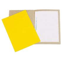 10 Pasta Duplex Com Grampo Para Documentos A4 Plastificada