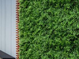 10 Placas para Jardim Vertical Artificial Alta Qualidade Folhagens Densas Para Decorações de Paredes