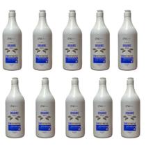 10 Progressiva Semi Definitiva Orgânica Passo 2 Chichair 1L