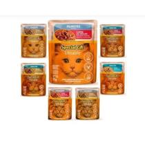 10 Sachês Whiskas Sabores Variados 85gr cada / Special Cat / Purina Friskies