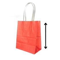 10 Sacola De Papel Kraft Presente Colorida 13,5X8X16Cm