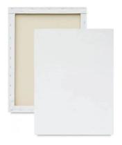 10 Telas Profissional Crua para Pintura 24x30cm