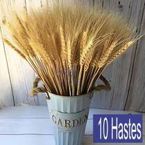 10 Trigos Seco Natural para Decoração de Festa, Casamento, Natal e Arranjos em Geral - Haste Grande 10 Trigos Seco Natural para Decoração de Festa, Casamento, Natal e Arranjos em Geral - Haste Grande