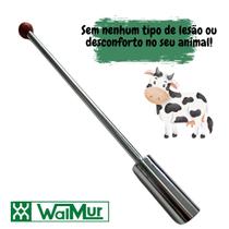 10 Uni Imã Ruminal+Lança Atraidor De Metais Estomacal Walmur