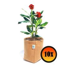 10 Vasos Plantas Feltro 11 Litros Decorativo Caramelo