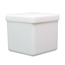 100 Caixa Acrílica 4cm Branca Com Tampa Artesanato Biscuit