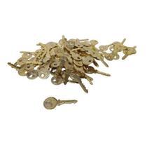 100 Chaves Para Campanha Pequena pacote Com 100 Unidades