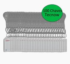 100 Chaves para Travas de Carrinhos De Compras Condomínio Tecnow