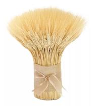 100 Haste De Trigo Decoração Casamento Decoração Arranjo Lar 100 Haste De Trigo Decoração Casamento Decoração Arranjo Lar