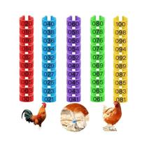 100 Peças De Clipe De Plástico Para Etiquetas De Pés De Frango, Clipe De Ratchet Para Ferramenta De