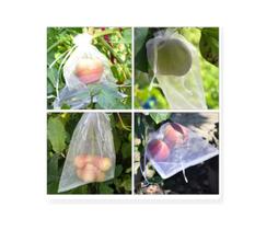 100 Sacos Para Proteção Frutas No Pe Lavável 10 X 15 cm 100 Sacos Para Proteção Frutas No Pe Lavável 10 X 15 cm