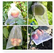 100 Saquinho organza protegue fruta no pé 10x15cm ecologica - OKABOX