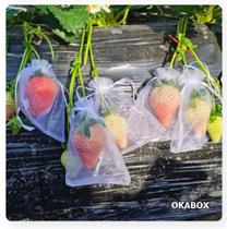 100 Saquinho organza protegue fruta no pé 10x15cm ecologica