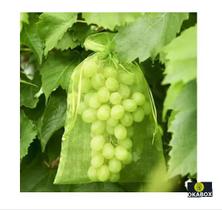 100 Saquinho organza protegue fruta no pé 17x23 cm ecologica - OKABOX